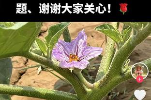 双星闪耀！巴特勒&阿德巴约半场合计10投9中 共砍下23分9助攻